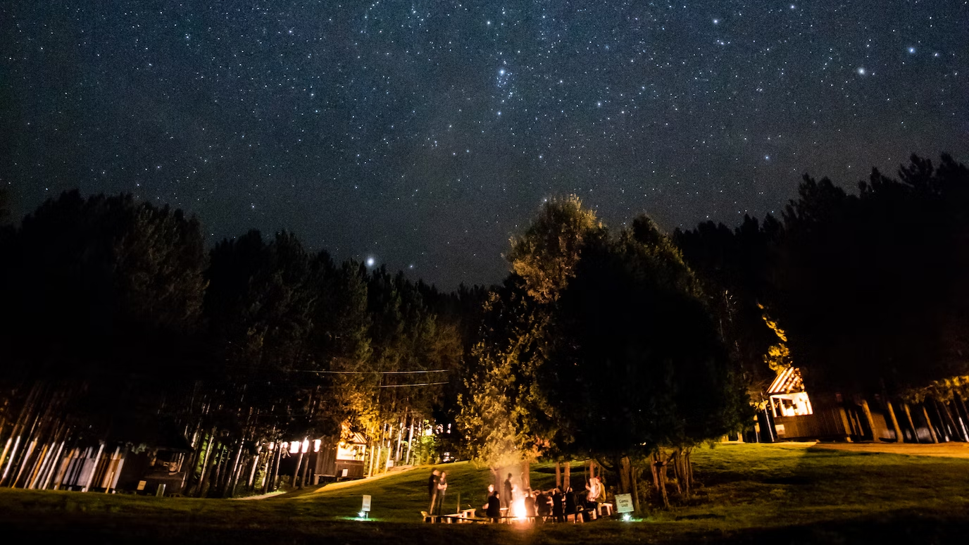 Campamento de noche. Lee sobre campamentos de verano para adolescentes en 2023